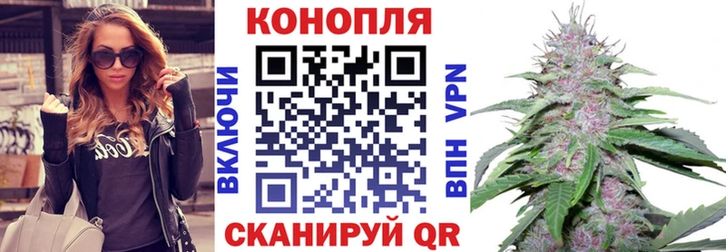 Конопля SATIVA & INDICA  Салаир 